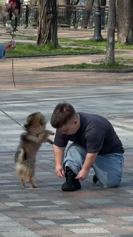 Підтримай ❤️ #_lilvi__ 