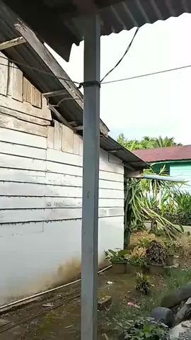 @rulzz.4you0  #vypppp 