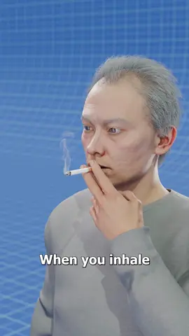 How Cigarettes Destroy Your Lungs 😷