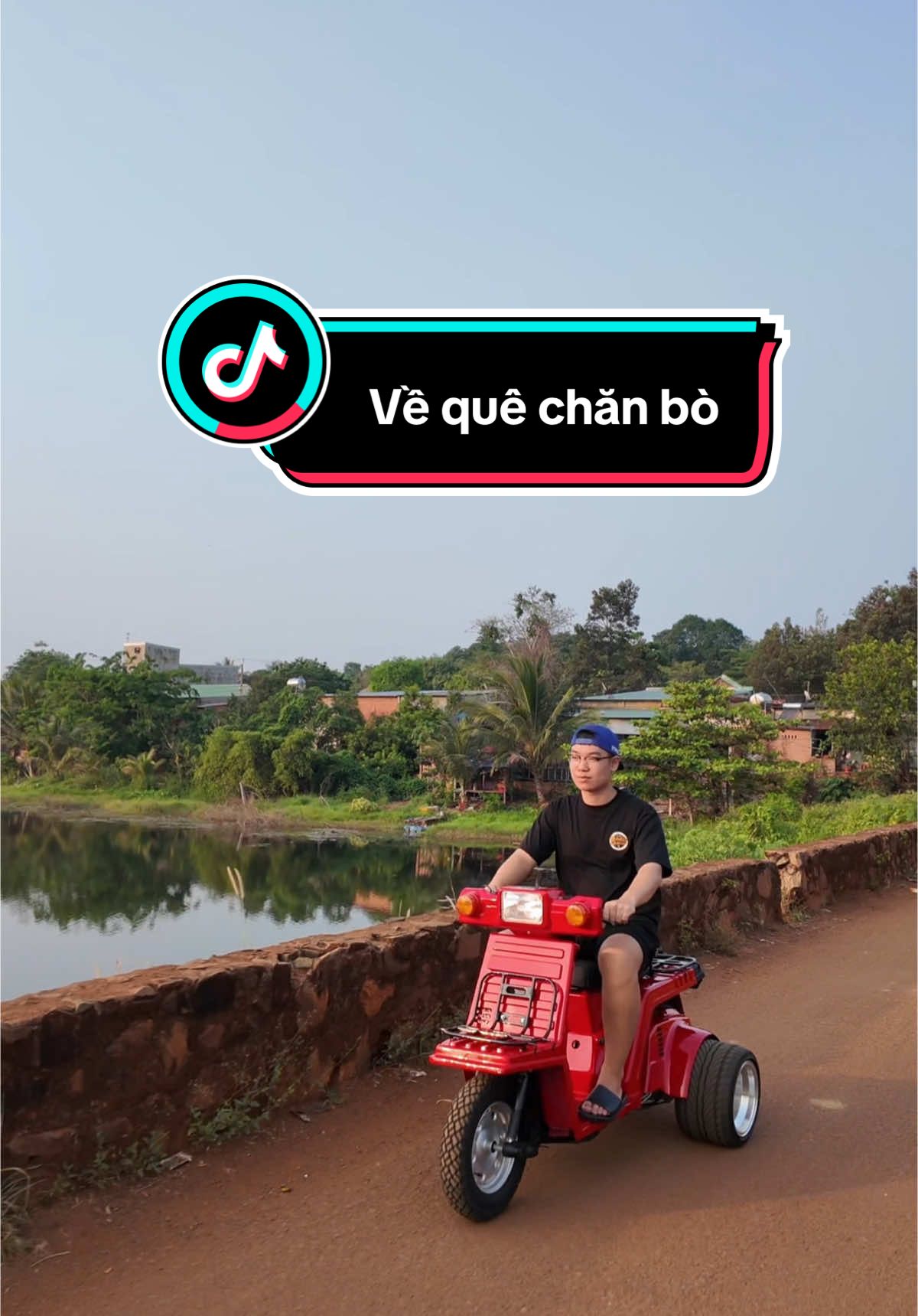 Về quê chăn bò #lequycuong #gyroX 
