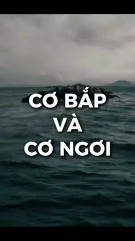 Các cụ ngày xưa bảo rồi tài gì cũng không bằng tài chính...mà cơ bắp thì cũng chã bằng cơ ngơi đâu#cuocsong #gau_tam_trang #pfypシ #xh 