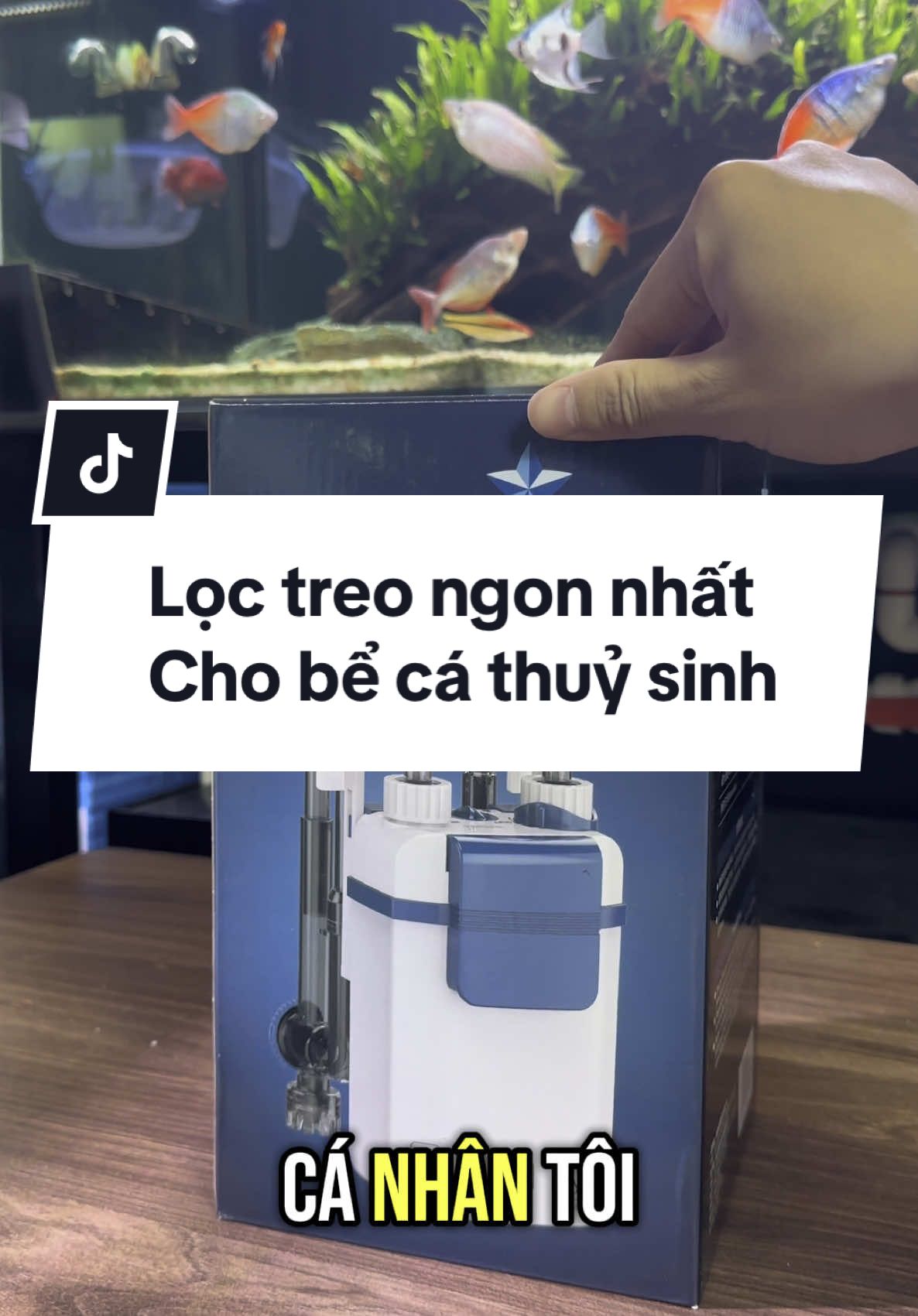 Chiếc lọc treo tốt nhất cho bể thuỷ sinh #lọctreo #haitapchoica #bểcácảnh #becacanh #bểcáthuỷsinh #becathuysinh #thuysinh 