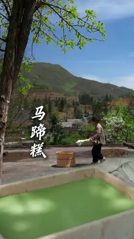 传承千年的中式糕点 马蹄糕。#新农人计划2025  #农村美食 #马蹄糕 #中国餐 #美食教程#美食＃美食推薦#美食教学 #我要上热门＃我要上热搜#上热搜#上热门#美食分享 #chinesetiktok #chinesefoodlover #chinesefoodie #chinafood #for #foryou #foryoupage #foryourpage #Foodie #food #FoodLover #cooking #cookingtiktok #foodcooking #fyp #fypシ
