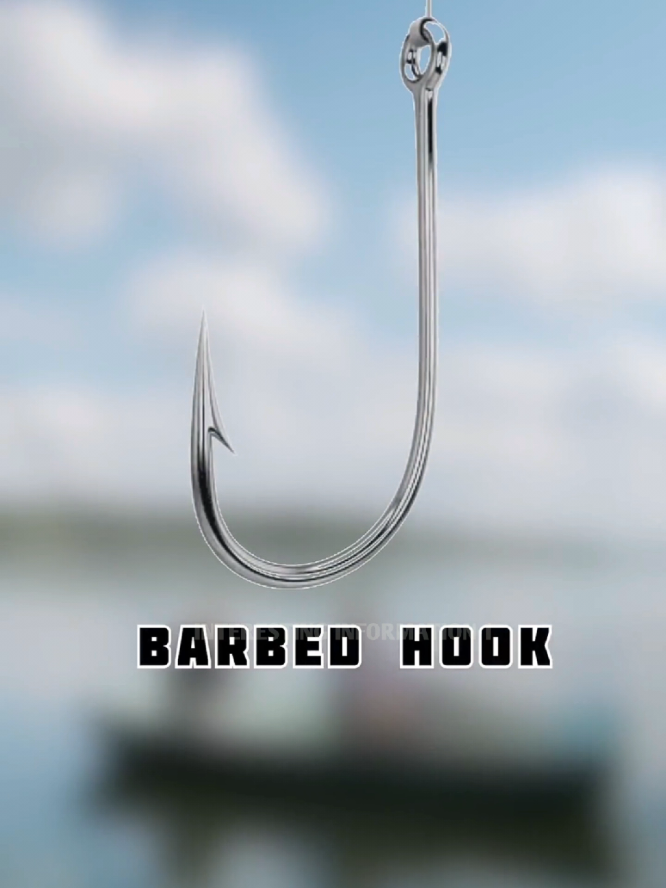 Two Type Fishing And Two Type Hook! #fyp #LearnOnTikTok #viral #video #foryou #new #amazing #fact #facocean #factflare #interesting #information  #viralvideo #foryoupage 