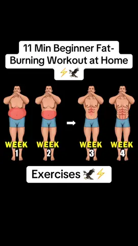 11 Min Beginner Fat-Burning Workout at Home ⚡️🦅 #workout #Fitness #sixpack #absworkout #bellyfat #bellyfatworkout #athomeworkout 