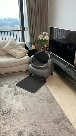 With its open design, keeping that American-style freshness and elegance in your home is a breeze. & top entry litter box #CatProducts #cat#catlitterbox #Petproducts #couple #neakasa #Raisecats #topentrylitterbox 