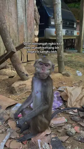 Takerjett mangkan motak #fyp #madura #madurapride #SkyR 