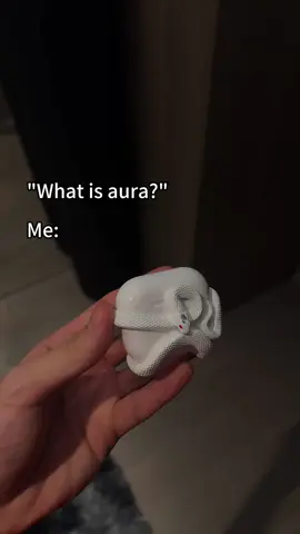 #airpodscase #airpodspro #aura #fyp 