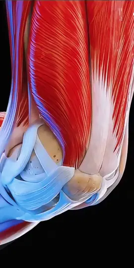 🏃✨ Say Goodbye to Knee Pain! 🦵🔥 Precut Kinesiology Tape for Knees – 10 Pcs, Waterproof & Elastic. Instant Support & Stability, Breathable & Latex-Free. Perfect for Athletes! ⚡💪 #KneePainRelief #AthleticTape #FitnessEssentials #TikTokMadeMeBuyIt #HealthAndWellness #KinesiologyTape #KneeSupport #SportsRecovery #InjuryPrevention #ElasticTape #WaterproofTape #HypoallergenicTape #BlackKinesiologyTape #ActiveLifestyle #PostWorkoutRecovery #JointHealth #tiktokshopspringglowup #spotlightfinds #GlowUpCetaphil 