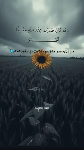#habona_mn01🌚😊  #foryou #fyp #foryoupage 
