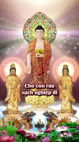 Cho con rửa sạch nghiệp đi, Làm người ai chẳng nhiều khi lỗi lầm. #kinhsamhoi #kinhsamhoihangngay