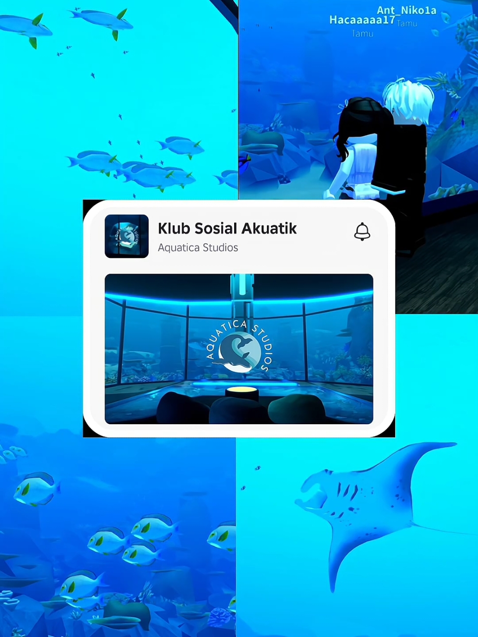 Membalas @ooouuunaHalo ini aku spill semua maps nya yaa 🫶🏻🎀 🐬˚˖𓍢ִ໋ 🐋✧˚.🐟⋆ Makasi udah dukung konten aku, Next enaknya jalan-jalan kemana ya ?⋆｡˚꩜  #roblox #robloxedit #4upageシ #robloxfyp #robloxgames #aesthetic #fyp #fypシ゚ #maproblox 