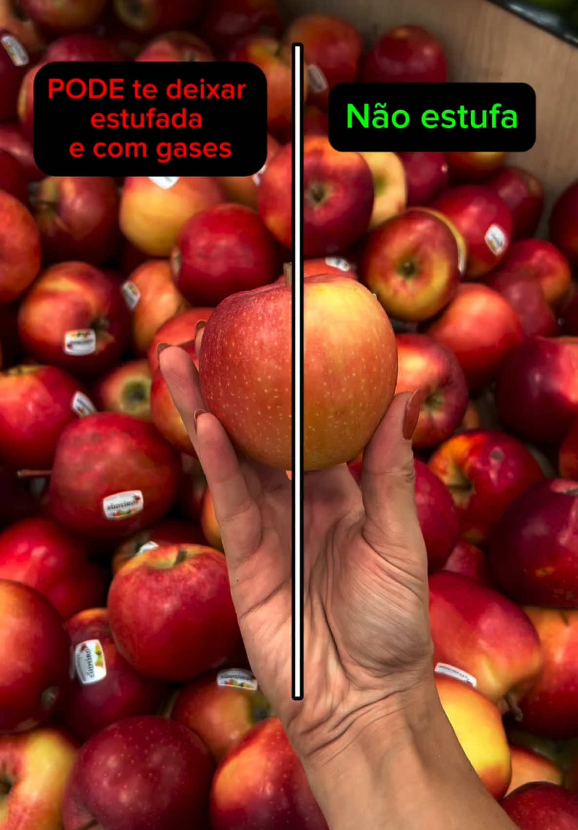 Já ouviu falar em FODMAPS? Algumas frutas têm alto teor de FODMAPs, que são tipos de carboidratos fermentáveis pelo nosso intestino. Para grande maioria das pessoas, isso não causa problema nenhum.  Mas para quem tem intestino mais sensível, elas podem gerar inchaço, gases e desconforto. Isso significa que essas frutas são proibidas? Não! Cada pessoa tem um nível de tolerância diferente. O ideal é testar e observar como seu corpo reage. Frutas são sempre saudáveis, sim! Mas nem todas são bem toleradas por todo mundo... 👉 e você, sente algum desconforto com alguma dessas frutas?  #frutas #nutrition #nutricionista #caloria #fodmaps #dieta #carboidratos 