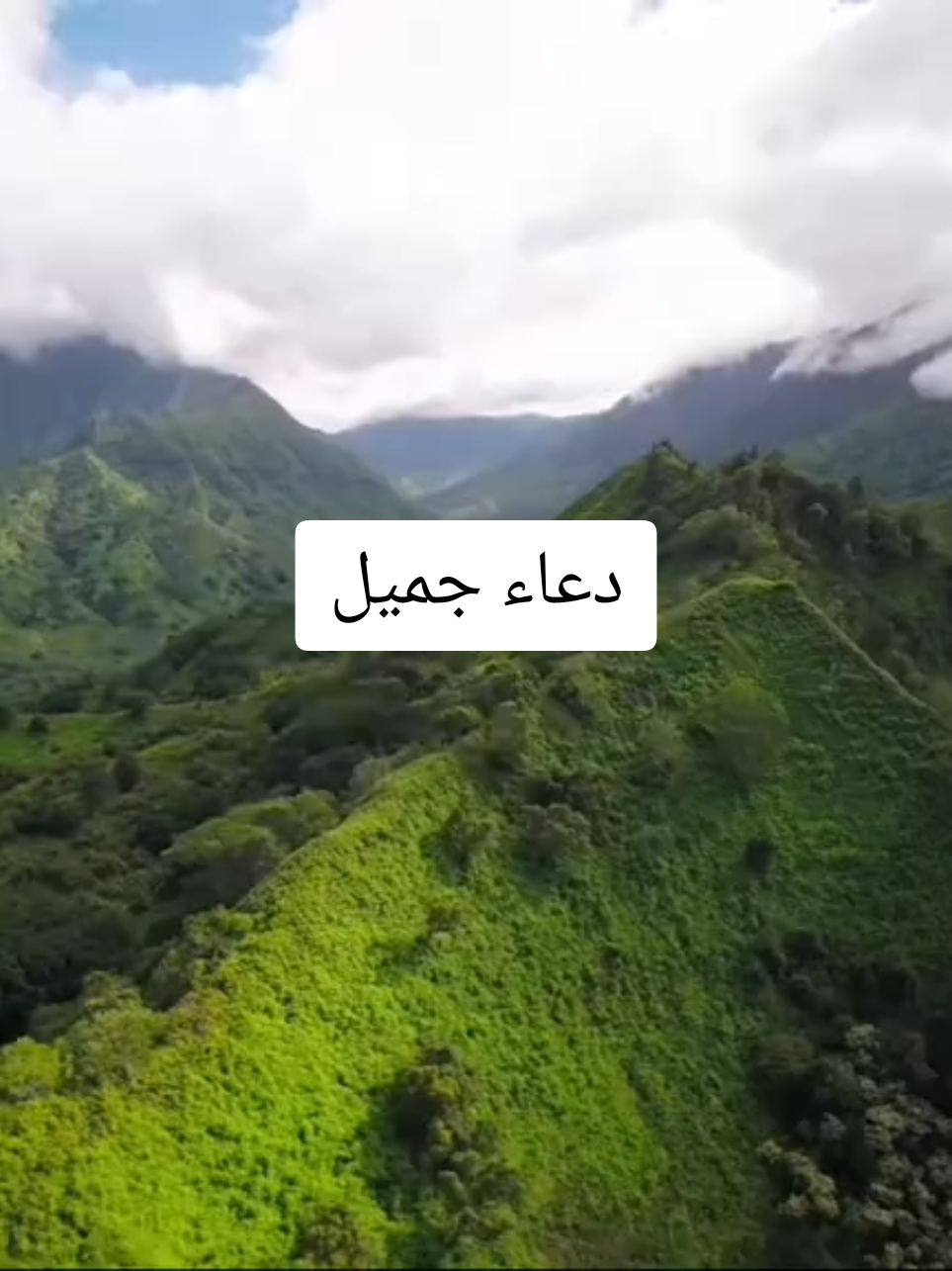 دعاء جميل #محتوى_ديني #الدعاء_المستجاب #الدعاء_يرفع_البلاء #الجزائر #tiktok #تيك_توك_أطول #اكسبلور 