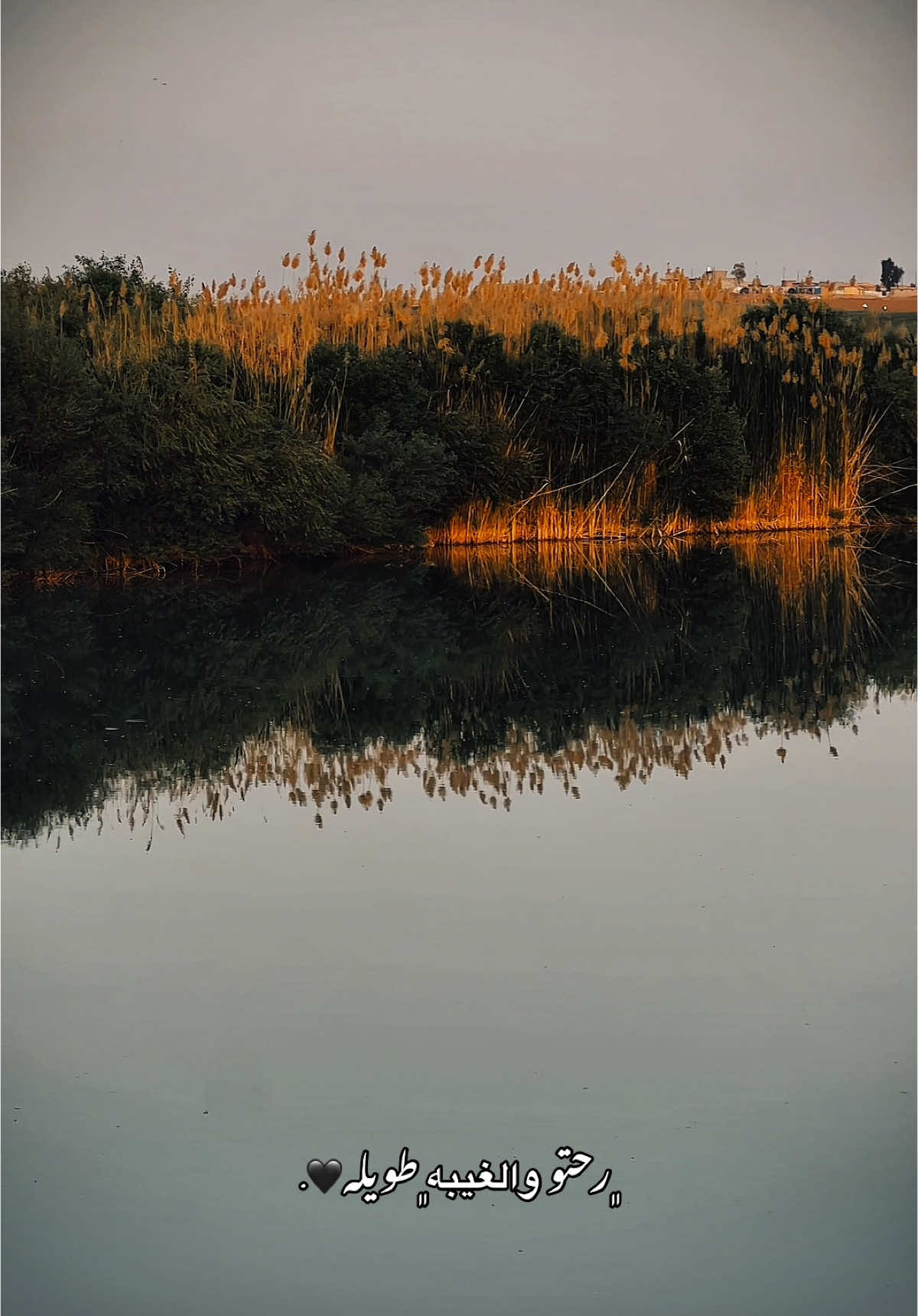 رحتو والعيبه طويله🖤. #تصويري #شاشة_سوداء🖤 