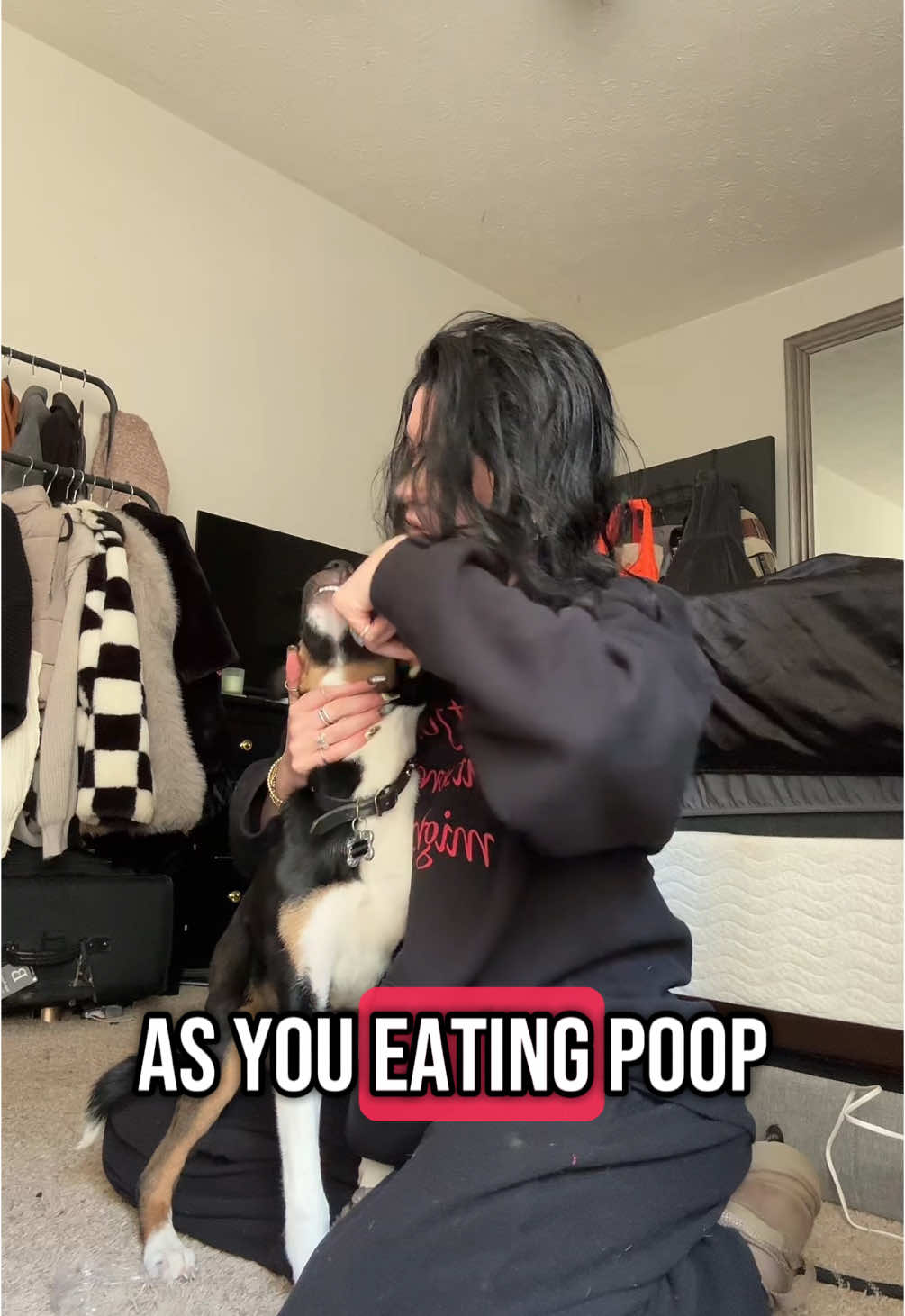 Gross ad for your morning! #dentalwipes #PetsOfTikTok #cleanyourdogsteeth #dogs #dogteeth 