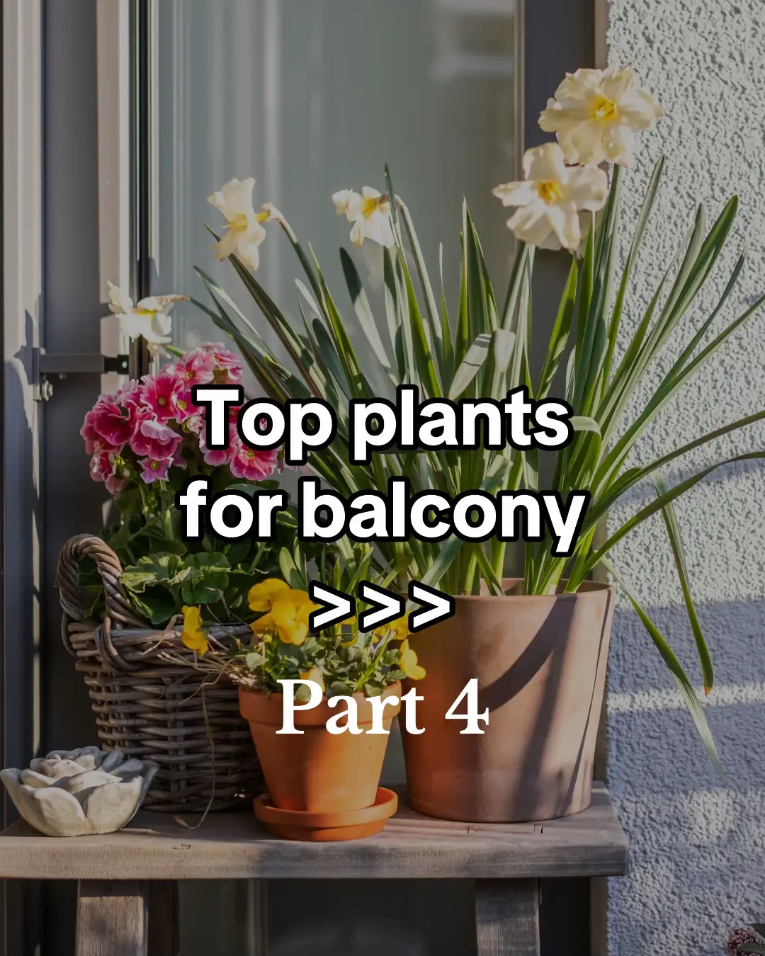 Looking to upgrade your spring balcony or terrace garden? Here are some of the best outdoor plants that thrive in containers and small spaces. Whether you’re into low-maintenance options or want to create a lush patio vibe, these balcony-friendly plants are perfect for urban gardening. Ideal for sunny spots and cooler spring nights! #balcony #balconygarden #balconydecor #terrace #outdoorplants #balconymakeover #summerplants #springplant #balconyplants #terraceplants  #containerplants #springgarden #urbangardening #plantsmakepeoplehappy #patioideas #springplants  #gardeningtips #greenbalcony #outdoorvibes