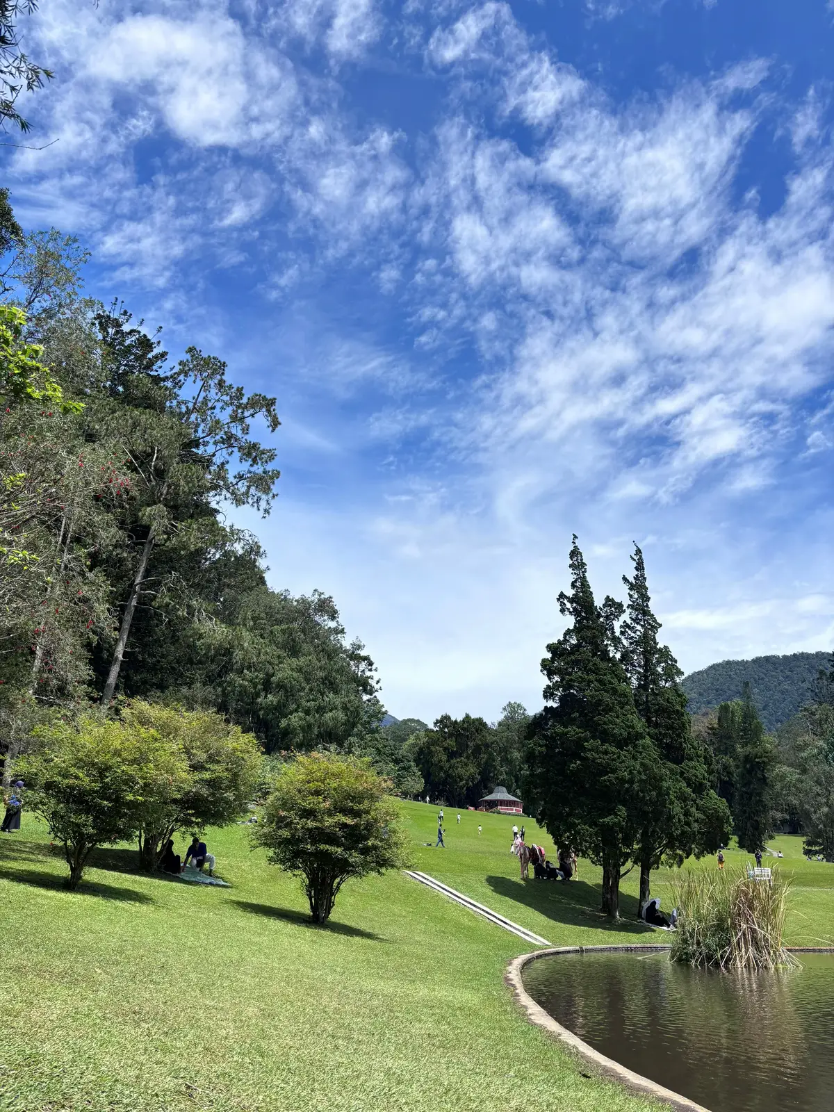 Seindah itu✨🦋🌸 #kebunrayacibodas #fyp #fypage 