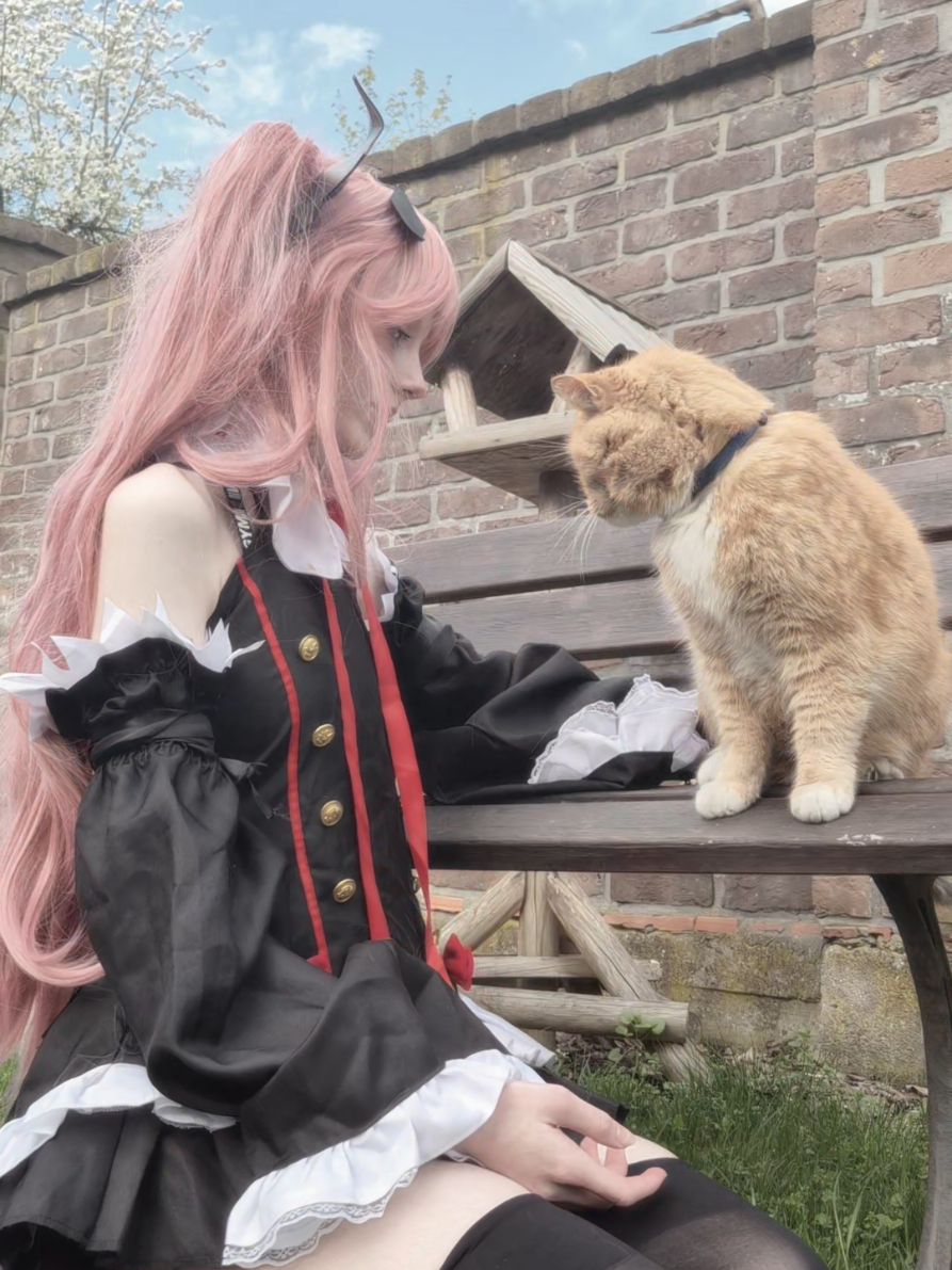 ⋆ 𐙚 ̊.Oh no! Finally reunited with my love⋆｡‧˚ʚ🍓ɞ˚‧｡⋆ #krul #krultepes #krultepescosplay #cosplay #cosplayer #cosplayergirl #influencer #fashion #aesthetic #fyp #makeup #vibes #foryoupage❤️❤️ #cute #cat #owarinoseraph #seraphoftheend #owarinoseraphcosplay #終わりのセラフ #vampire 