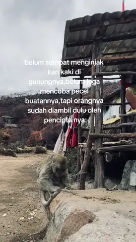 #sadstory #warungmbokyemlawu #gununglawu3265mdpl 