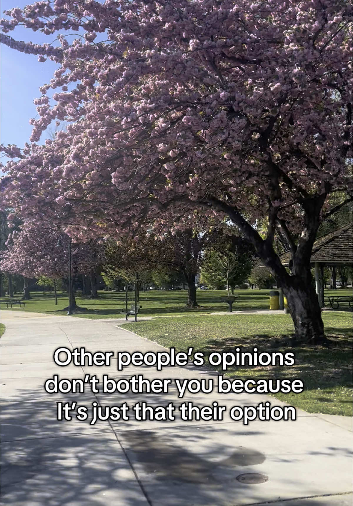 I have no drama in my life, I’m at peace and it’s a blessing #maturing #mom #lovemylife #blessing #atpeace 