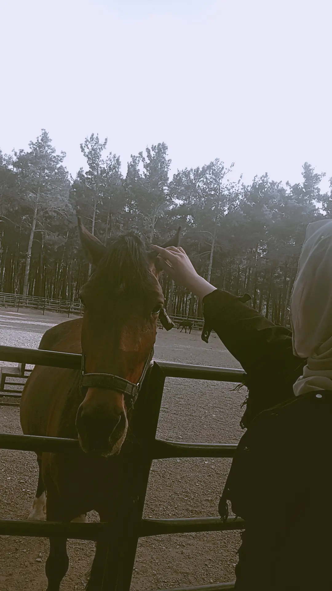 #Love #