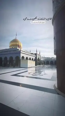 جان لنا لقاء ولاكنً جان💔#ناطق_هادي #علي_الوائلي #اللهم_عجل_لوليك_الفرج ##اللهم_عجل_لوليك_الفرج #السيده_زينب_عليها_السلام #مقام_السيدة_زينب #الشعب_الصيني_ماله_حل😂😂 