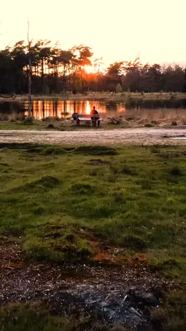 Cuando pierdas a tu madre, habrás perdido a la persona que más te amo ❤️