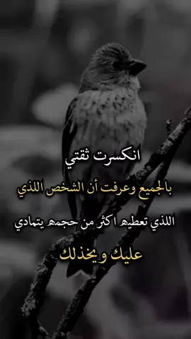 #افضل_عبارة_لها_تثييت #عبارات_جميلة_وقويه😉🖤 #عباراتكم_الفخمه🦋🖤🖇 