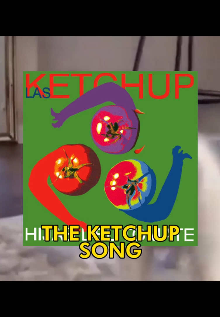 🗣️🗣️ I SAID A HEY 🔥🔥 #catcore #cat #catsoftiktok #lasketchup #theketchupsong #cattok #songoftheday #fyp 