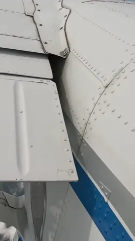 Salah Salem on Coach Rating Category G-2 #skydivecity #skydiving #skydiveratings