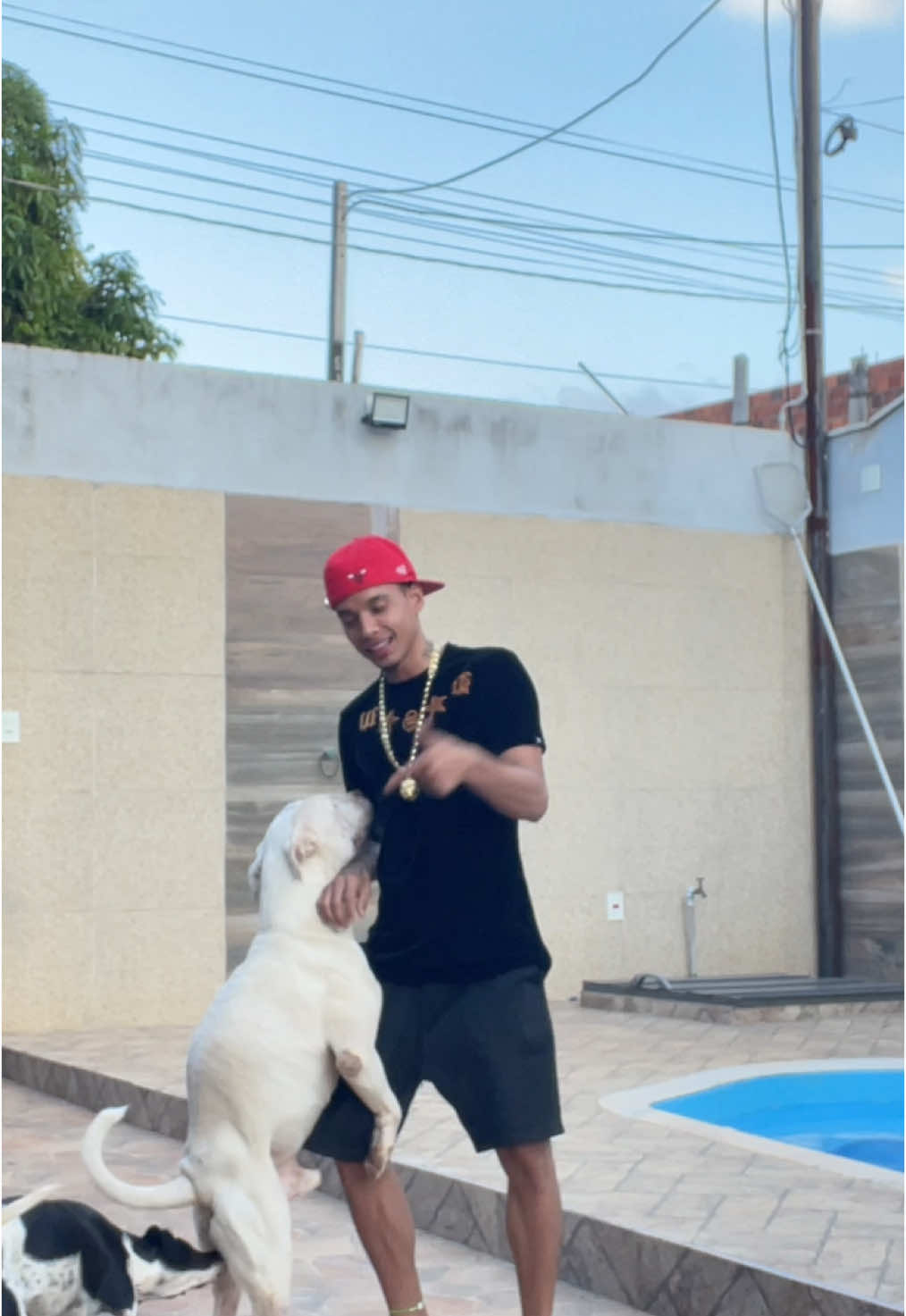 Meu pitbull se aproveita da boa vontade 😂😂