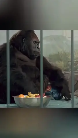 🦍 Gorilla TURNED Into a Bodyguard! 👶#movie #recap_in