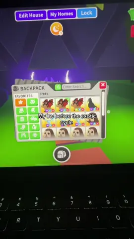 Anyone wanna know what the exotic cycle is😆 #adoptmetrade #adoptmetiktok #mm2duck1 #adoptmeworth #adoptmefypシ #robloxgames #adoptmeviral #adoptmeroblox #adoptmetrends #robloxtiktok #mm2duck #expticpets #adoptmefyp #robloxfypシ #adoptmecheck #adoptme #megaowl #radoptmepets #robloxfyp 