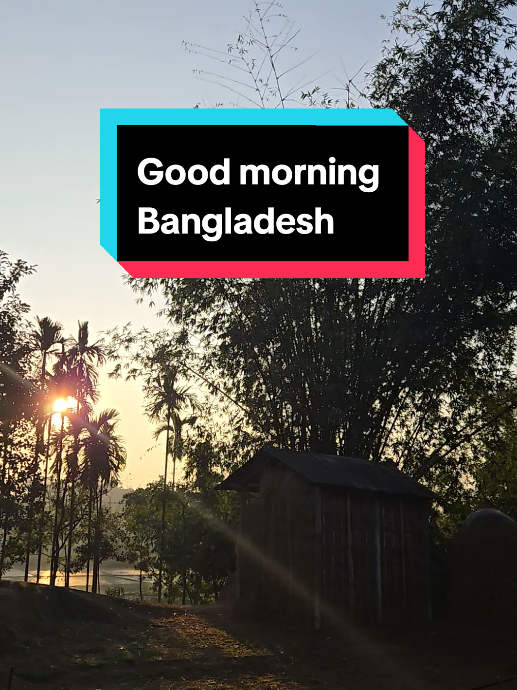 #bangladesh #birdssound #sylhet 