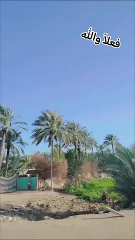 #تعبانه🖤💫 
