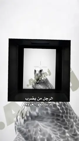 #أكســبلورـــــــــ᭄جده