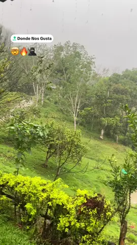 No me le arrodillo a Nadie😎