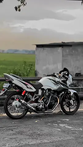 #berkahpaket #tigerherex #pecegank #tigeralbino #tigerstyle #fyp #daymaker #foryoupage #xybca 