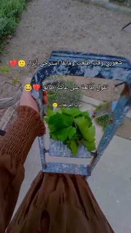 نريد نعيش 😂💔مين متلي عندو فوبيا من المرتفعات 😭#اعادة_نشر🔁 #الدعم_في_ذمه_الله #سفرة_سفوري 