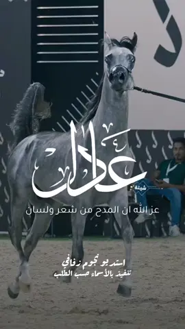 شيلة باسم عادل 2025 شيلة مدح عادل #استديو_نجوم_زفافي #لطلب_الشيلات_0505336824 #السعودية #الكويت #قطر  #تصميم_فيديوهات🎶🎤🎬تصميمي🔥 #تصميم_اسماء_حسب_الطلب #شيلة_باسم_عادل #شيلة_عادل #عادل 