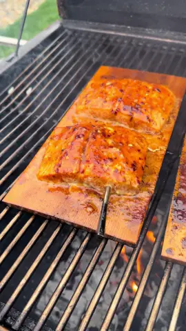 Honey buffalo Cajun smoked salmon 