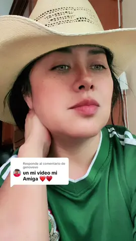 Respuesta a @genovevo Saludos amigo , #fyp#fypシ#parati#fypシ゚viral 