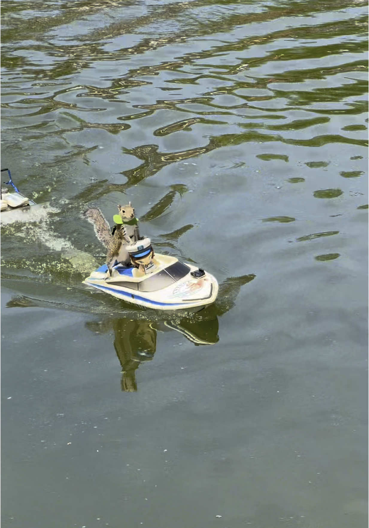 Twiggy Impossible! #fyp #squirrel #pet #pets #waterskiingsquirrel #squirrels #cuteanimals #cute #twiggy #missionimpossible 