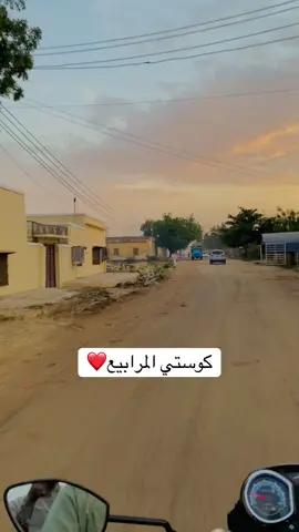 #عاشور #كوستي #شوارع_كوستي #تصوير_عاشور #كوستي_المرابيع