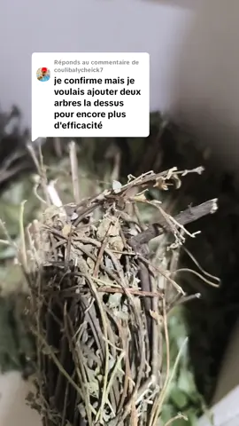 Réponse à @coulibalycheick7 