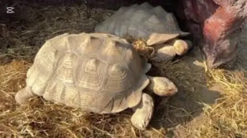 sidpayete  #payet #sidpayete #sidpayété #tiktokburkinafaso🇧🇫🇧🇫🇧🇫🇧🇫 #burkinatiktok🇧🇫 #traditional #culture #pourtoi #videoviral #musique #video 