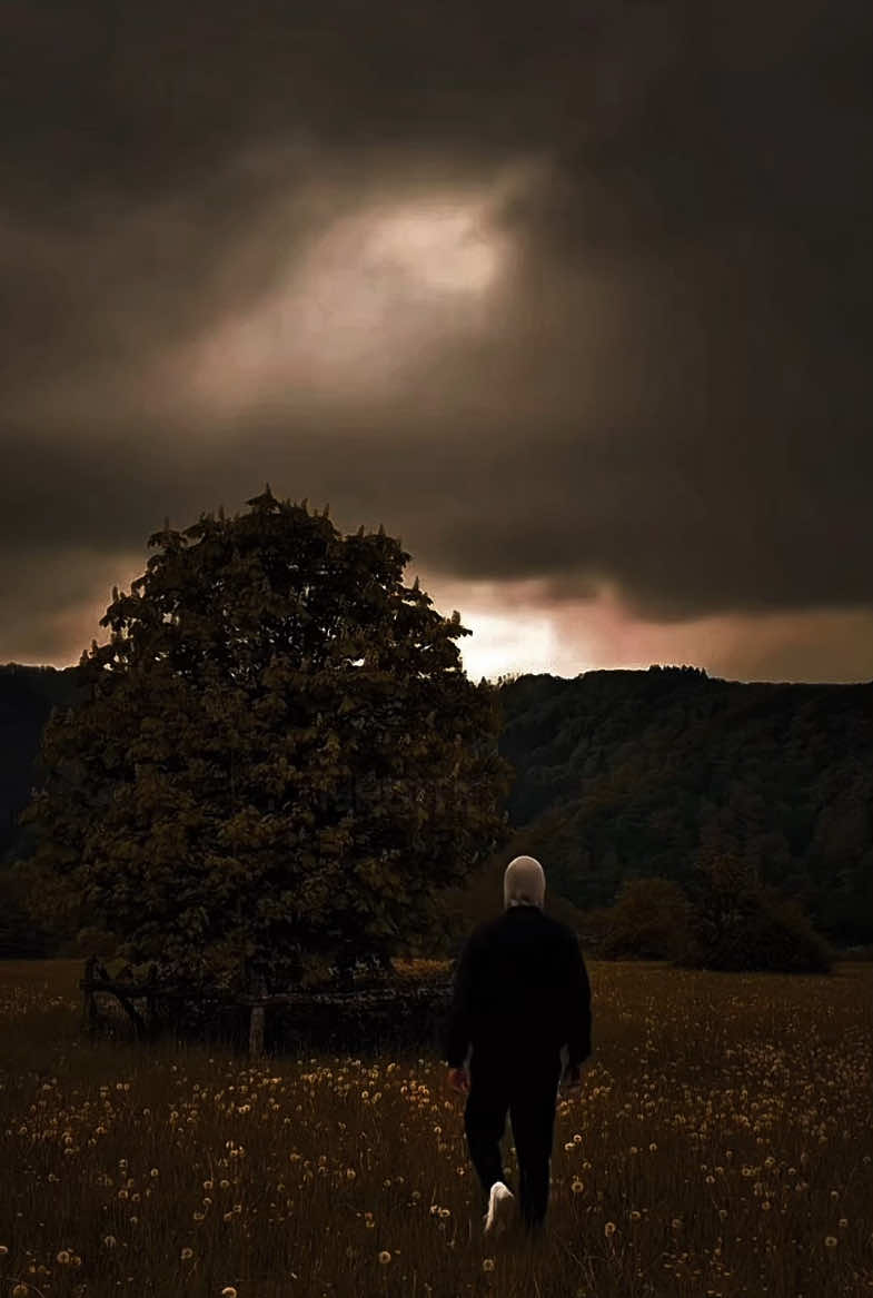 Abonne toi on évoluera ensemble. #motivation #reussite #mindsetmotivation #inspirationmotivation 