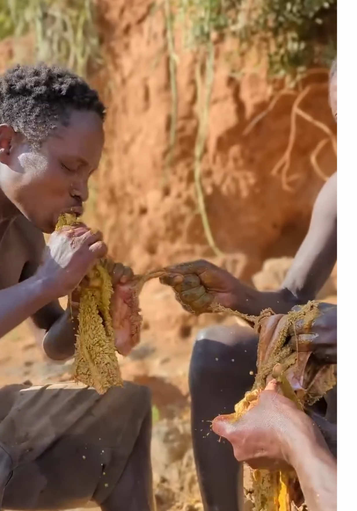 #tasty #africa #village #monkey #fyp #viral #hazabe #nature #AfricanFood #foryoupage #animals 