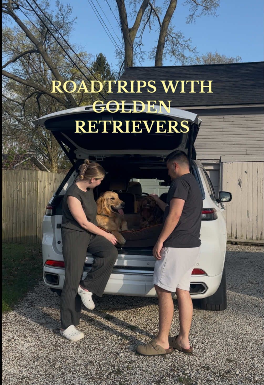 Roadtrips with dogs 🐾👏🏻 #dogsoftiktok #goldenretriever #goldenretrieverlife #goldenretrieverpuppy #roadtrip #roadtripwithdogs #dogmom 